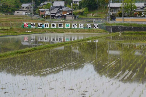 kasida_taue2019_1