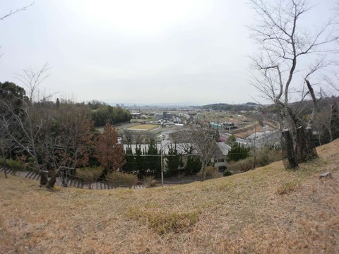 20260318摂津峡公園 (19)