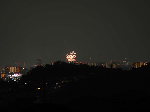 20220827なにわ淀川花火 (141)
