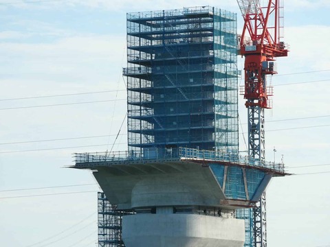 20250927新名神国道堤防 (49)