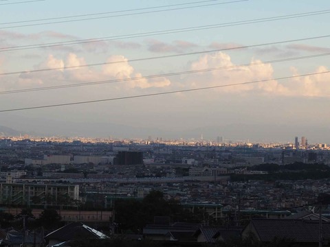 20220728景色 (4)