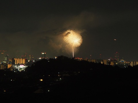20230805淀川花火 (16)