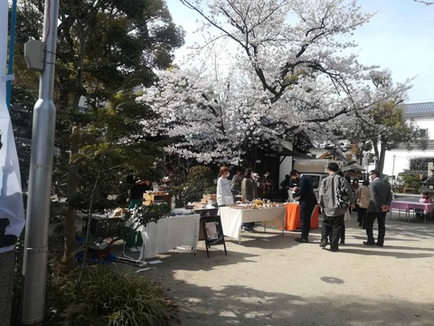 20220402野見神社 (5)