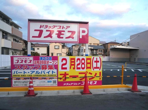 20260203コスモス (1)