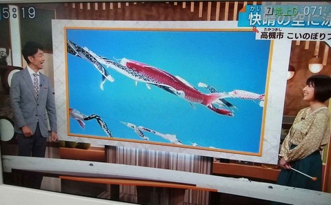 20240503こいのぼりTV (1)