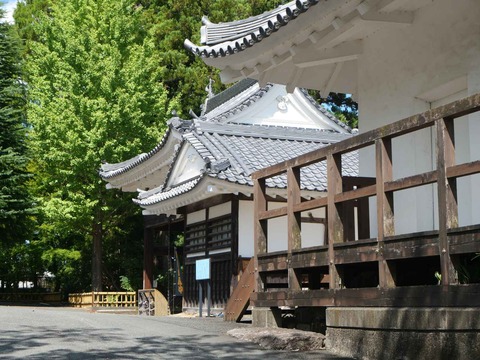 20240818園田城 (105)