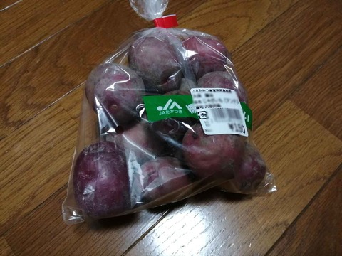 20220611アンデス