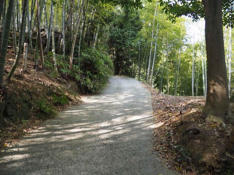 20230401梶原トンネル東坑口 (5)