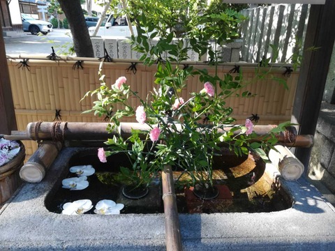 20220605野見神社 (2)