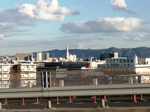 20211116芝生大橋歩道 (3)