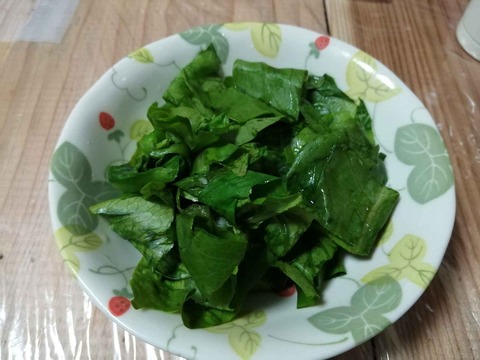 20231210ロマリア (11)