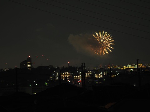 20221126万博花火 (9)