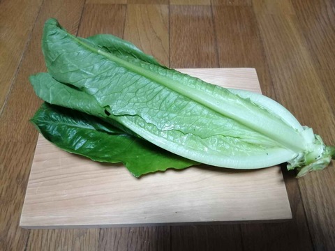 20231210ロマリア (4)