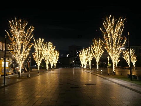 20241130安満関公園 (4)