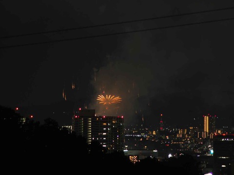20220904くらわんか花火 (220)