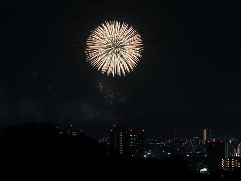 20240815くらわんか花火 (6)