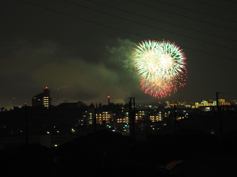 20221126万博花火 (38)