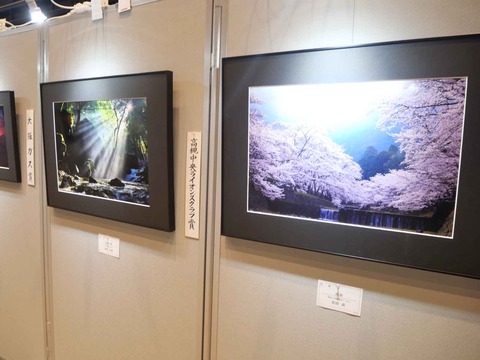 20240921高槻市美術展 (47)