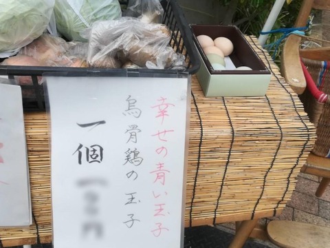20230606たまご