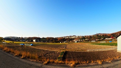 20221210摂津峡方面 (3)