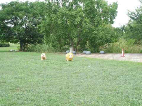 20260808大塚 (13)