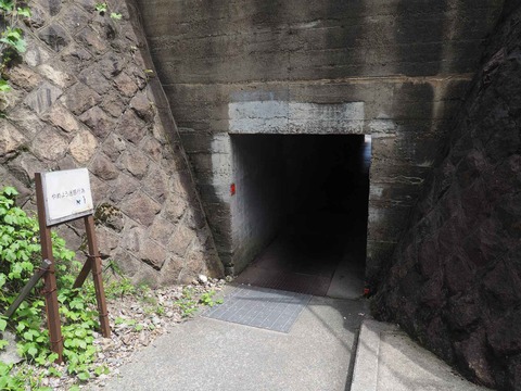 20220729島本大山崎 (23)