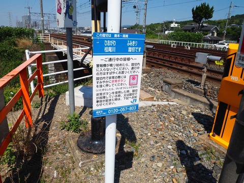 20220702檜尾川鉄橋 (5)