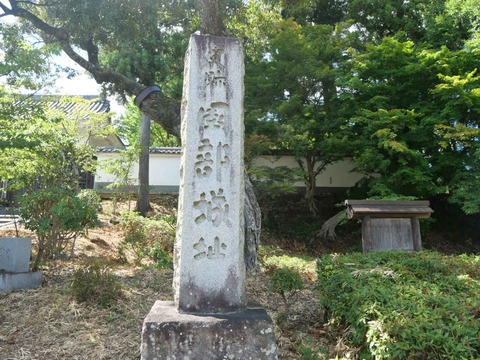 20240818園田城 (88)