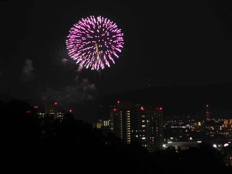 20230917水都くらわんか (22)