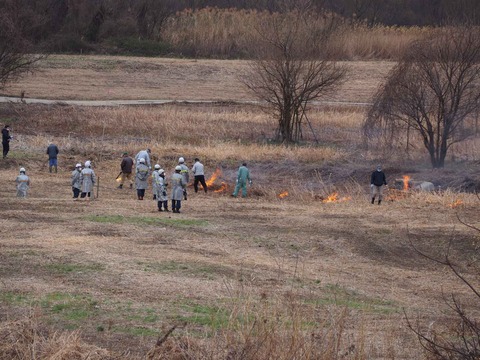 20240218ヨシ焼き (46)