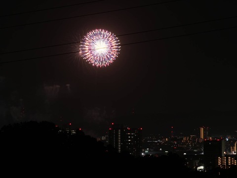20240815くらわんか花火 (3)