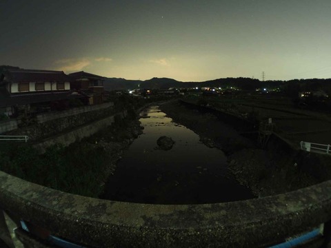 20220524ホタル2 (8)