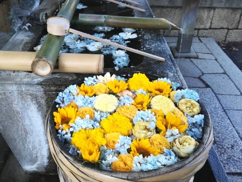 20240618野見神社 (2)