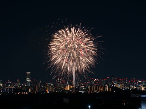 20240808辨天花火 (48)