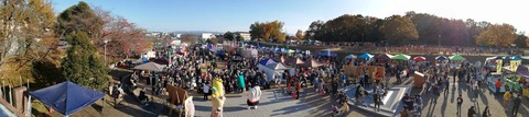IMG_20221127_145255