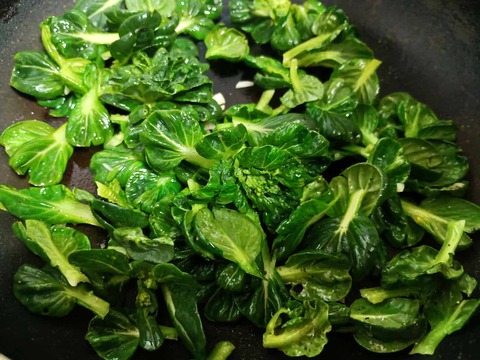 20260220タアサイ (5)