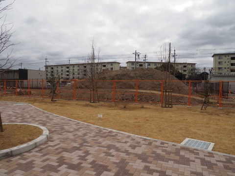 20230216川添公園 (10)