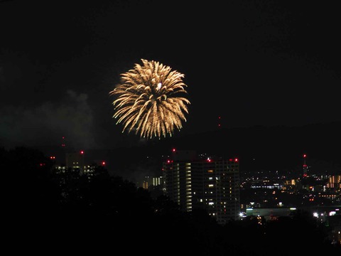 20230917水都くらわんか (18)