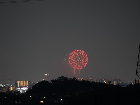 20240803なにわ淀川花火 (14)