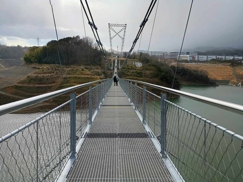 20250317吊り橋 (1)