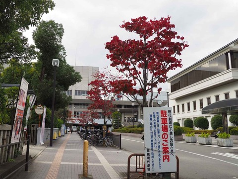 20221105現代劇場紅葉