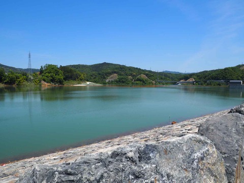 20230509安威川ダム昼前 (3)