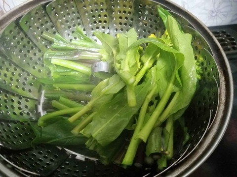 20240128アスパラ菜 (9)