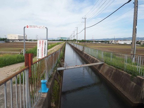 20240522西面水路 (1)