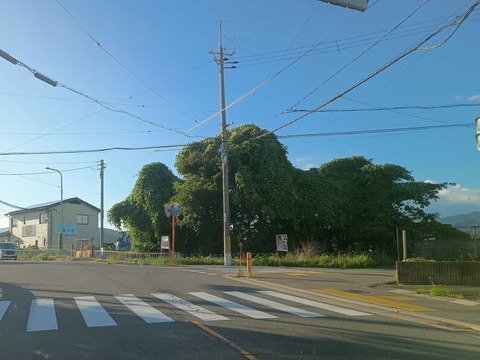 20250719郡家クズ (2)