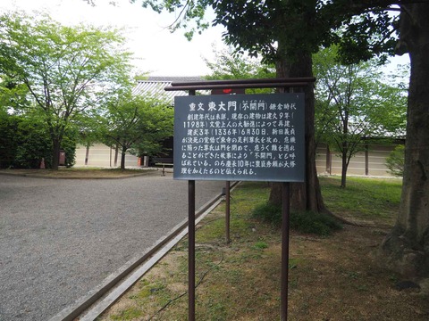 20230616東寺 (41)
