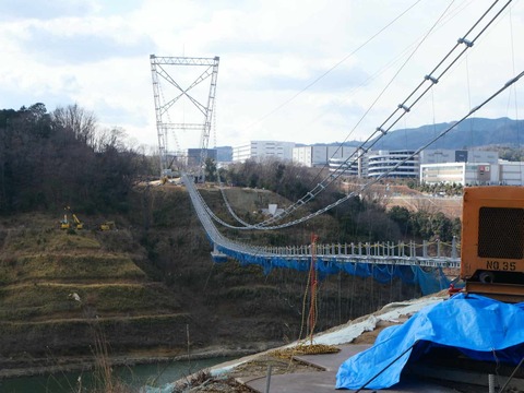 20250206吊り橋 (5)
