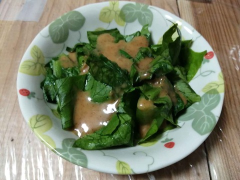 20231210ロマリア (13)