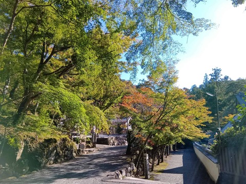 20251029神峯山寺 (24)