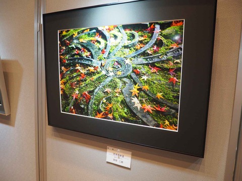 20230917美術展 (16)
